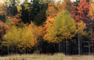 There are many gorgeous vistas in Quebec.